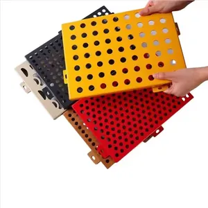 Eloxierte Aluminium-Wandverkleidung mit individuellen Ausschnitten