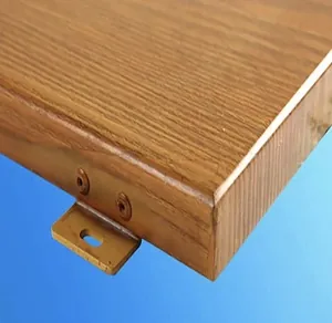 Brushed Aluminum Profile with Wood Grain Coating for Doors