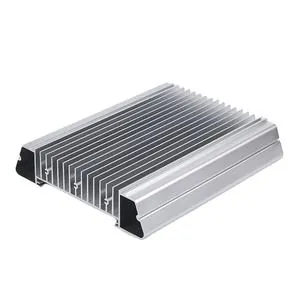 OEM Aluminum Extruded Heat Sink