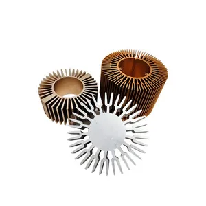 Small Large Sunflower Radiator